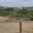  Land for rent in Daule, Guayas, Daule, Daule