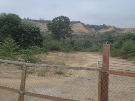  Land for rent in Daule, Guayas, Daule, Daule