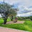 Terrain à vendre à El Marques, Queretaro, El Marques