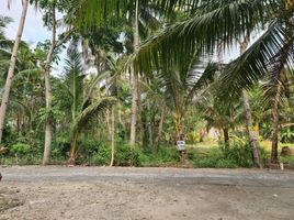  Land for sale in Yogyakarta, Pengasih, Kulon Progo, Yogyakarta