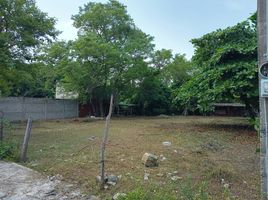  Land for sale in Huejutla De Reyes, Hidalgo, Huejutla De Reyes