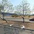  Land for sale in San Diego De La Union, Guanajuato, San Diego De La Union