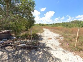  Terreno (Parcela) en venta en Cancún, Quintana Roo, Cancún