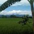  Terreno (Parcela) en venta en Valencia City, Northern Mindanao, Valencia City, Bukidnon
