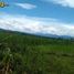  Terreno (Parcela) en venta en Valencia City, Northern Mindanao, Valencia City, Bukidnon
