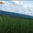  Terreno (Parcela) en venta en Valencia City, Northern Mindanao, Valencia City, Bukidnon