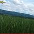  Terreno (Parcela) en venta en Valencia City, Northern Mindanao, Valencia City, Bukidnon