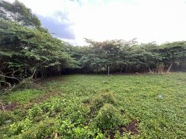  Land for sale in Muntinlupa City, Metro Manila, Muntinlupa City