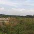  Land for sale in Purwadadi, Subang, Purwadadi