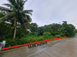  Land for sale in Bohol, Central Visayas, Antequera, Bohol