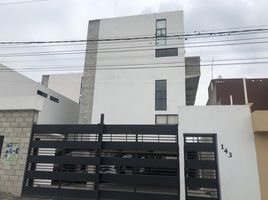 2 Schlafzimmer Appartement zu vermieten in Toluca, Mexico, Toluca, Mexico, Mexiko