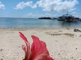  Terreno (Parcela) en venta en Lapu-Lapu City, Central Visayas, Lapu-Lapu City, Cebu