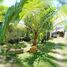  Terreno (Parcela) en venta en Lapu-Lapu City, Central Visayas, Lapu-Lapu City, Cebu