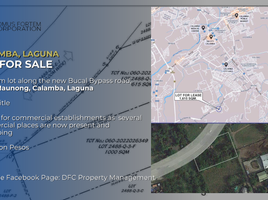  Terreno (Parcela) en venta en Calamba City, Calabarzon, Calamba City, Laguna, Calabarzon, Filipinas