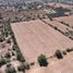  Land for sale in Ajacuba, Hidalgo, Ajacuba