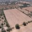  Land for sale in Ajacuba, Hidalgo, Ajacuba