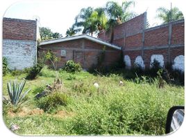 2 Habitación Villa en venta en Irapuato, Guanajuato, Irapuato