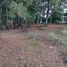  Terreno (Parcela) en venta en Morelia, Michoacán, Morelia