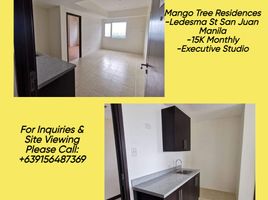 Studio Condo for sale in San Juan City, Eastern District, San Juan City