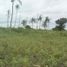  Terreno (Parcela) en venta en Lapu-Lapu City, Central Visayas, Lapu-Lapu City, Cebu