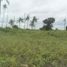  Terreno (Parcela) en venta en Lapu-Lapu City, Central Visayas, Lapu-Lapu City, Cebu