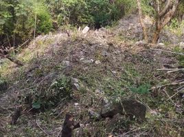  Grundstück zu verkaufen in Ixtapan De La Sal, Mexico, Ixtapan De La Sal