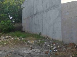  Terreno (Parcela) en venta en Cerete, Córdoba, Cerete