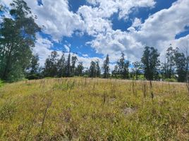  Terrain for sale in Yaruqui, Quito, Yaruqui