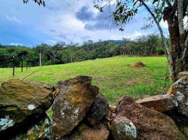  Land for sale in Santander, Curiti, Santander