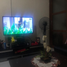 1 Schlafzimmer Wohnung zu verkaufen in Makati City, Metro Manila, Makati City