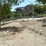  Terreno (Parcela) en venta en Piura, Piura, Piura, Piura, Piura