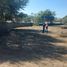  Terreno (Parcela) en venta en Jocotepec, Jalisco, Jocotepec