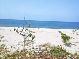  Land for sale in San Narciso, Zambales, San Narciso