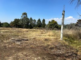  Land for sale in Ixtacuixtla De Mariano Matamoros, Tlaxcala, Ixtacuixtla De Mariano Matamoros