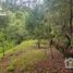  Land for sale in Mineral Del Chico, Hidalgo, Mineral Del Chico