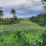  Land for sale in Cavite, Calabarzon, Tagaytay City, Cavite