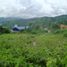 Terrain à vendre à City of Naga, Central Visayas, City of Naga