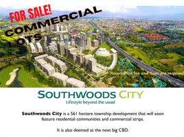  Land for sale in Binan City, Laguna, Binan City