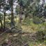  Land for sale in Villa De Leyva, Boyaca, Villa De Leyva