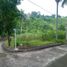  Land for sale in Cebu Central Visayas, Pinamungahan