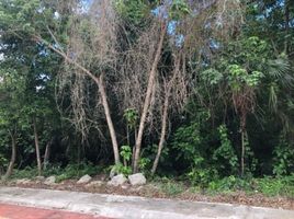  Grundstück zu verkaufen in Puerto Morelos, Quintana Roo, Puerto Morelos