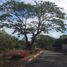  Land for sale in Muntinlupa City, Metro Manila, Muntinlupa City