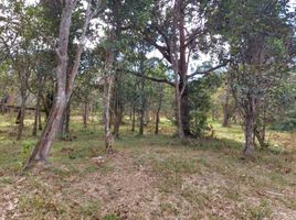  Terrain for sale in Bentong, Pahang, Bentong, Bentong