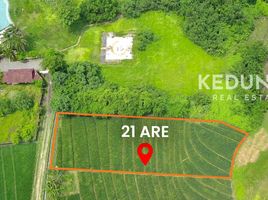  Land for sale in Selemadeg, Bali, Selemadeg