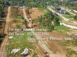  Land for sale in Amadeo, Cavite, Amadeo