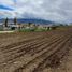  Terrain for sale in Tungurahua, Izamba, Ambato, Tungurahua