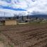  Terrain for sale in Tungurahua, Izamba, Ambato, Tungurahua