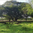  Land for sale in Cartagena, Bolivar, Cartagena