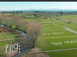 Land for sale in Nuble, San Nicolas, Punilla, Nuble