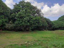  Land for sale in Lipa City, Batangas, Lipa City